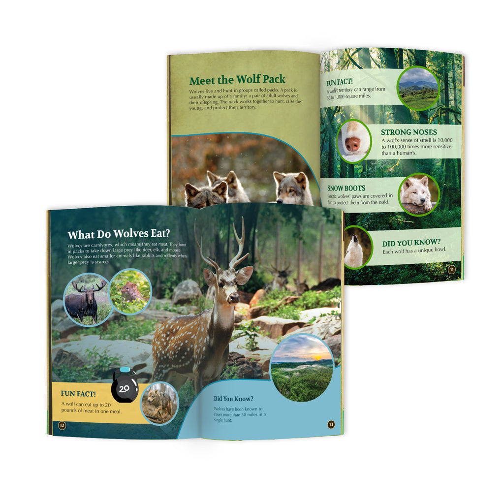Wolf Conservationist Box (Age 9-12)