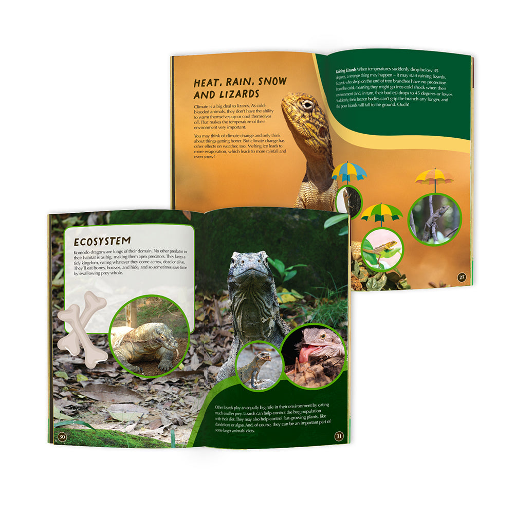 Komodo Dragon Conservationist Box (Age 9-12)