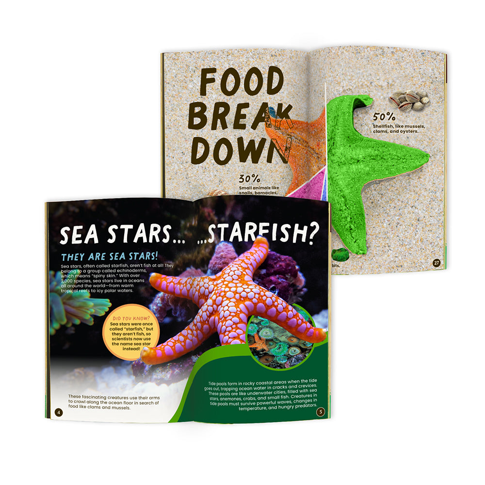 Sea Star Conservationist Box (Age 9-12)