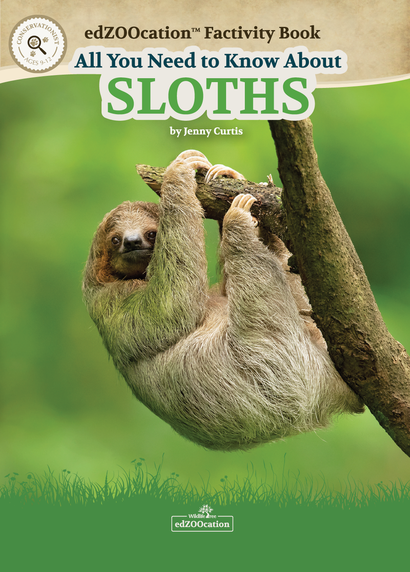 All You Need to Know About Sloths edZOOcation Conservationist Book - eBook Digital Download
