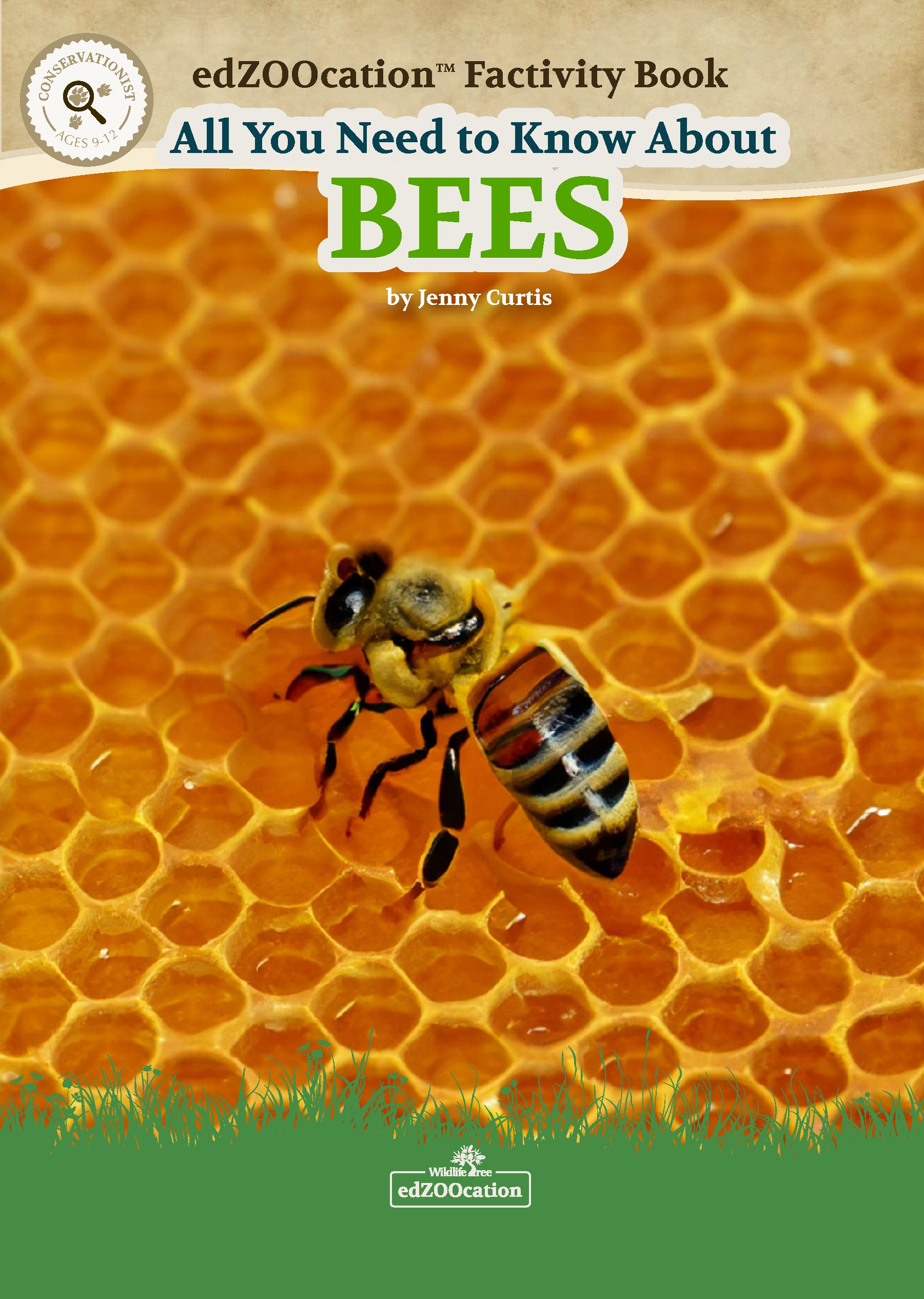 All You Need to Know About Bees edZOOcation Conservationist Book - Pap