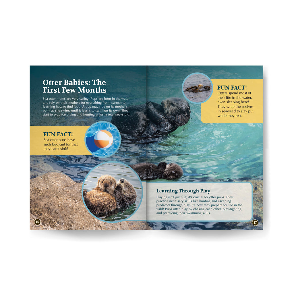 All You Need to Know About Sea Otters edZOOcation Conservationist Book - Paperback