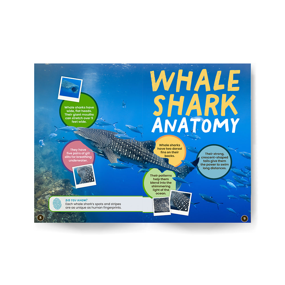 All You Need to Know About Whale Sharks edZOOcation Conservationist Book - Paperback