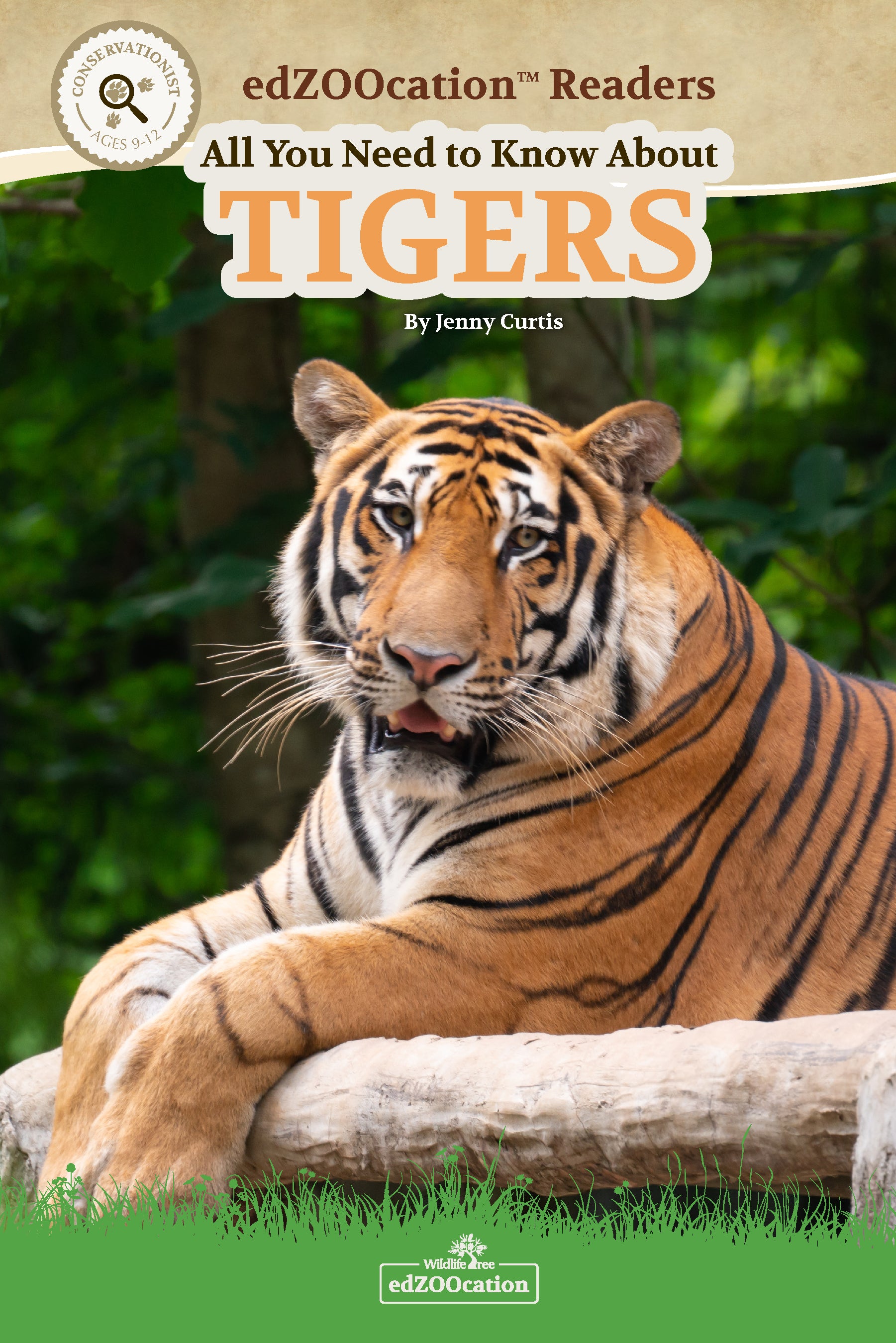 All You Need to Know About Tigers edZOOcation Conservationist Book - Paperback