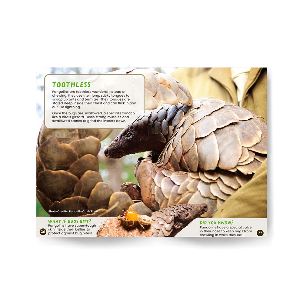 All You Need to Know About Pangolins edZOOcation Conservationist Book - Paperback