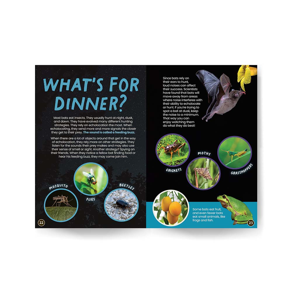 All You Want to Know About Bats edZOOcation™ Factivity Book - Paperback