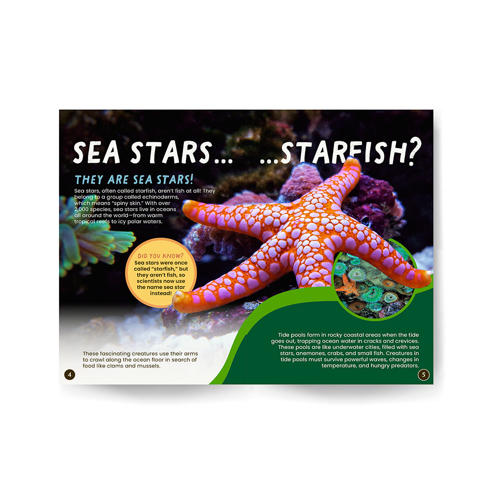All You Need to Know About Sea Stars edZOOcation Conservationist Book - Paperback