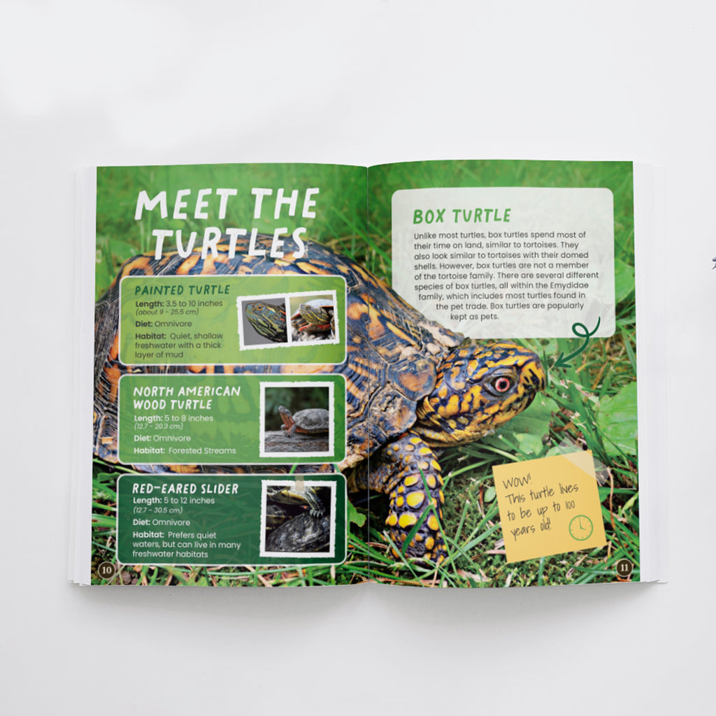 Turtles edZOOcation Encyclopedia Conservationist Book - Paperback