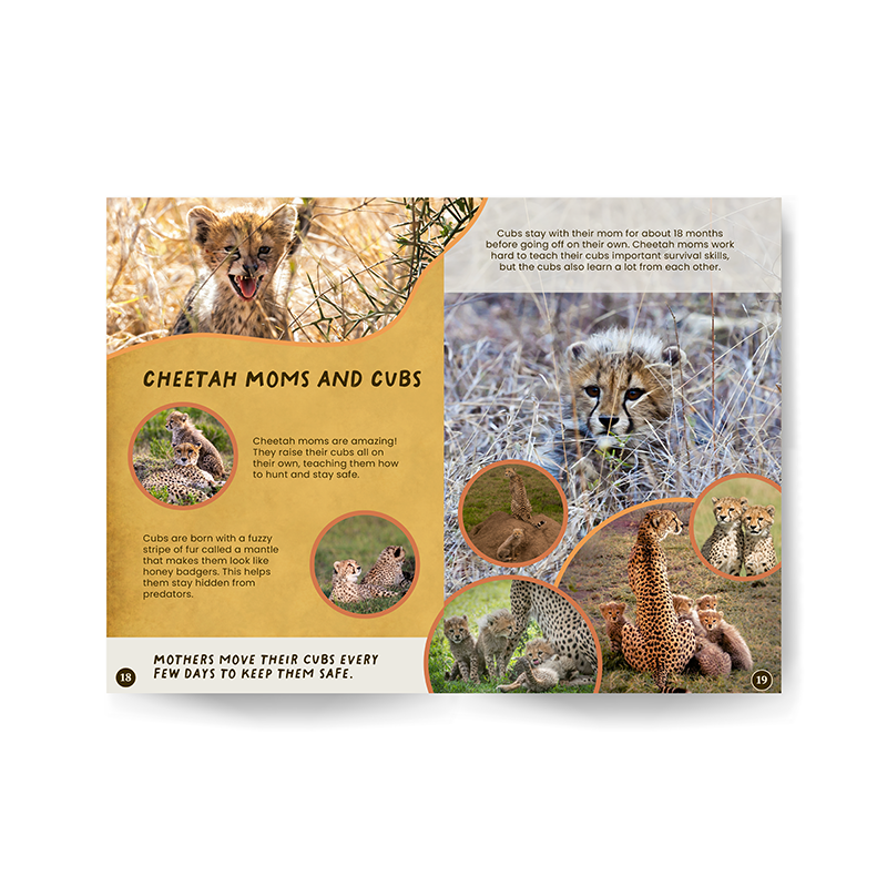 All You Need to Know About Cheetahs edZOOcation Conservationist Book - Paperback