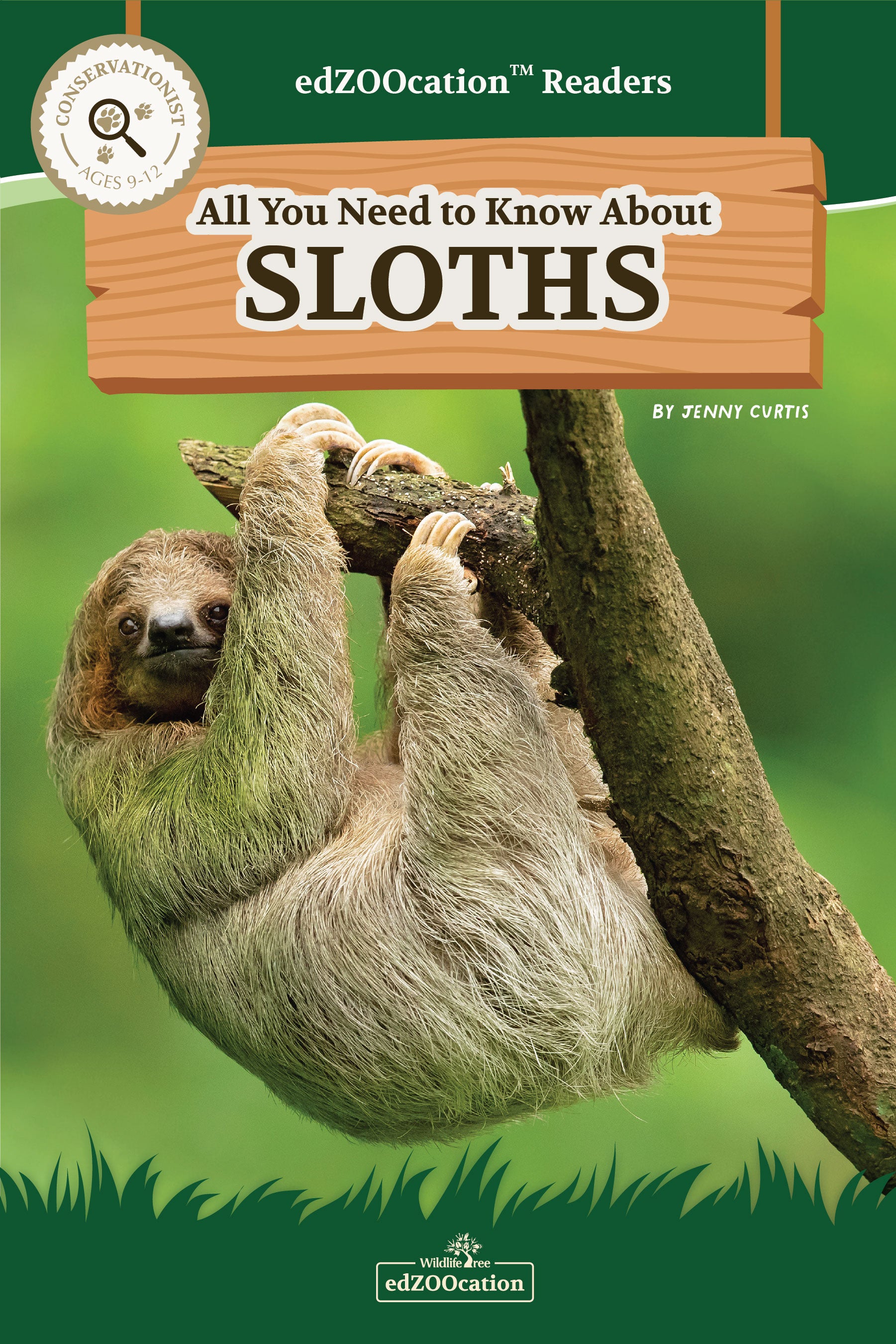 Book cover of 'All You Need to Know About Sloths' with a sloth on a branch against a green background.