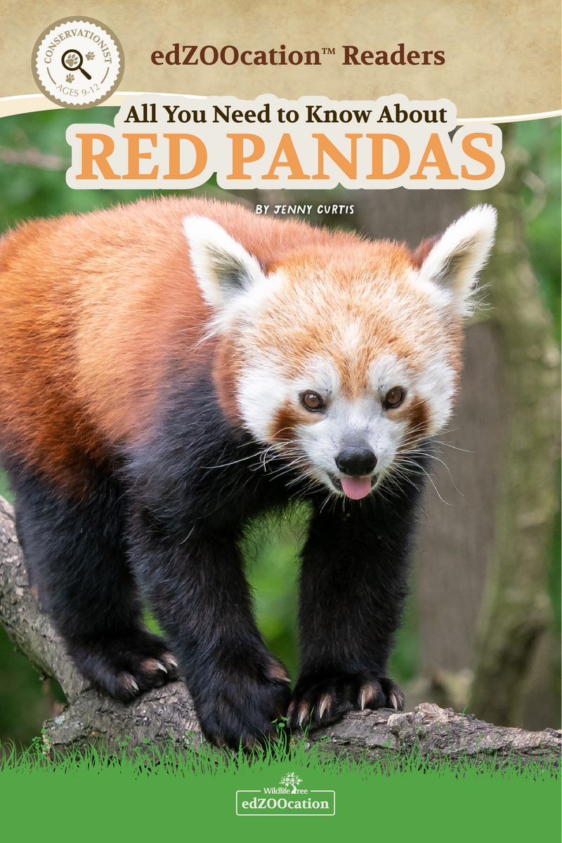 All You Need to Know About Red Pandas edZOOcation Conservationist Book - Paperback