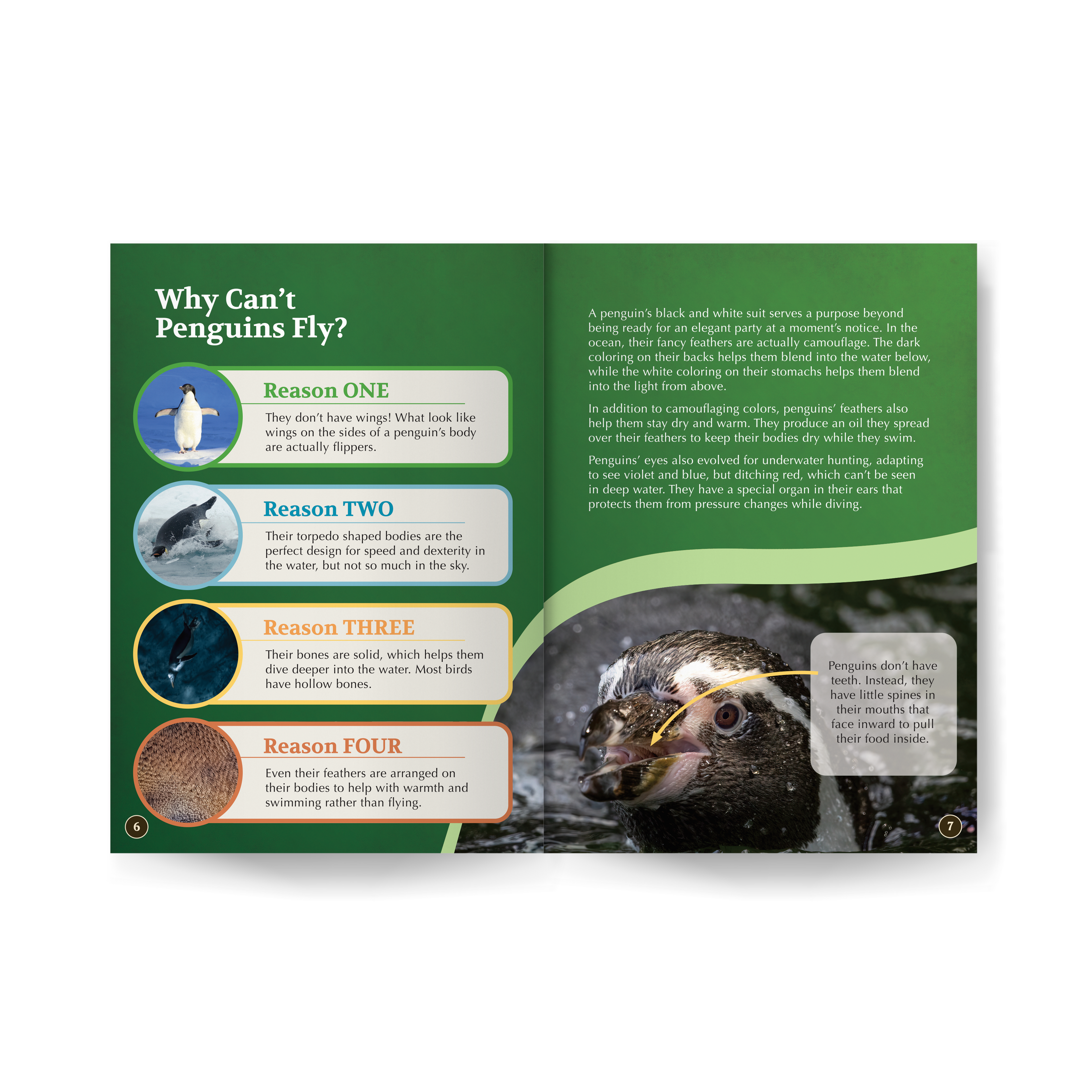 All You Need to Know About Penguins edZOOcation™ Factivity Book - Paperback