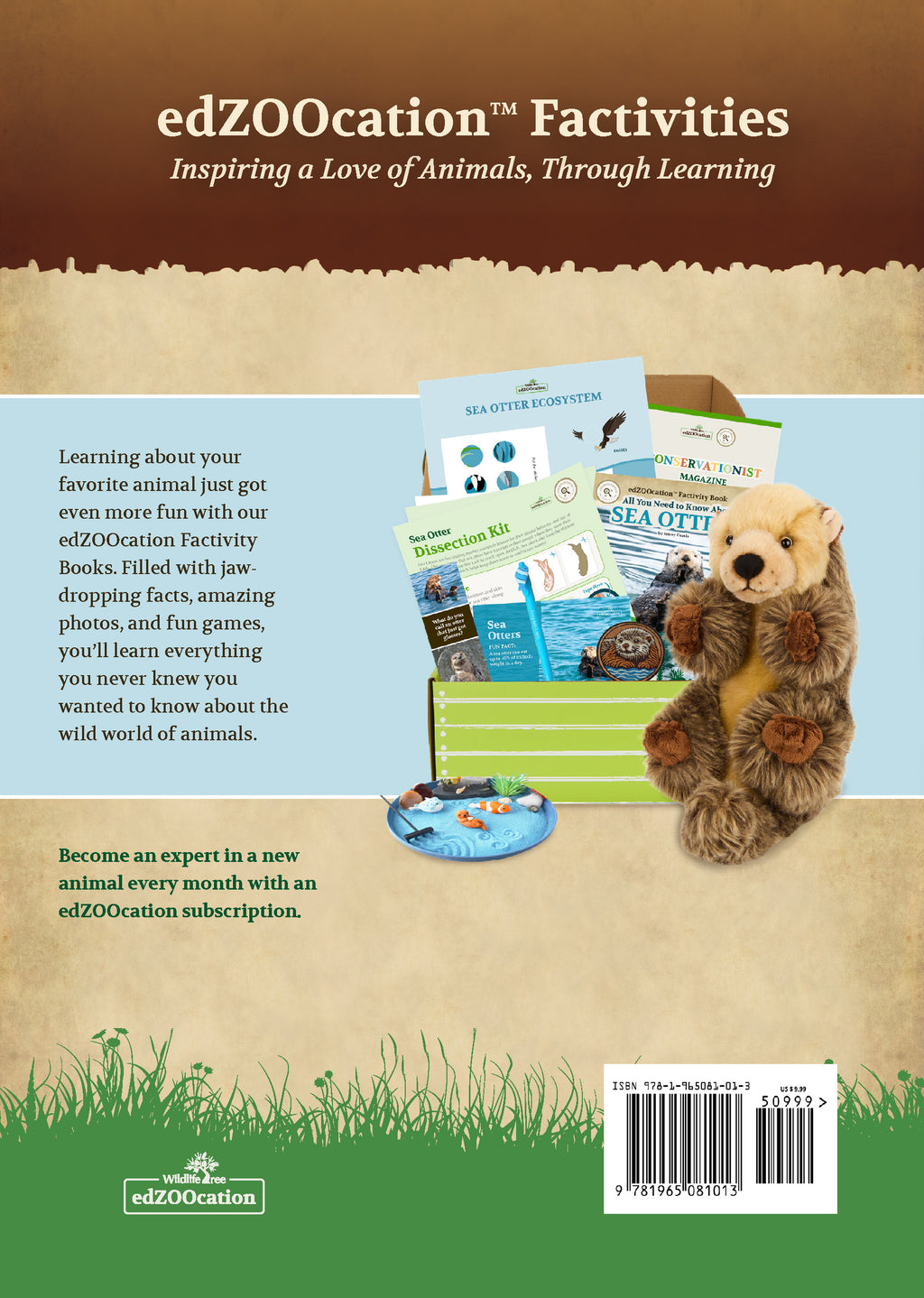 All You Need to Know About Spiders edZOOcation Conservationist Book - Paperback