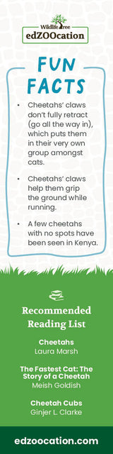 Cheetah Bookmark