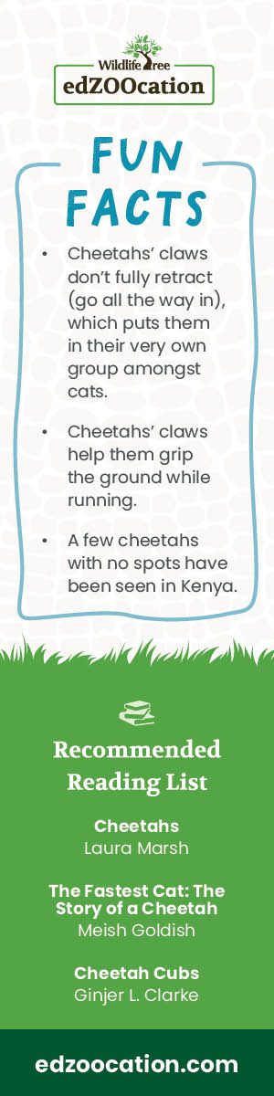 Cheetah Bookmark