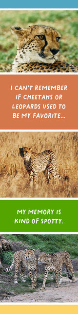 Cheetah Bookmark