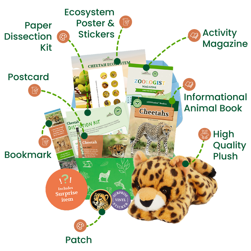 edZOOcation™ Zookeeper Box (Age 3-5) - 3 Months