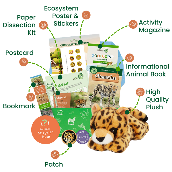 edZOOcation™ Zoologist Box (Age 6-8) - Monthly Box