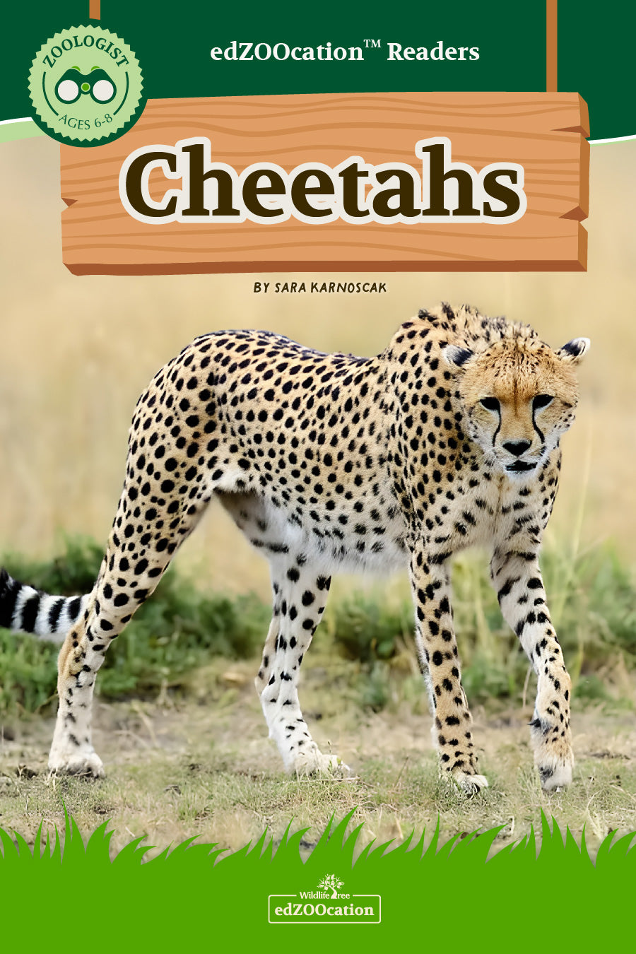 A cover image of a paperback book titled 'Cheetahs' in the edZOOcation Zookeeper series featuring a photograph of a cheetah in a natural setting.