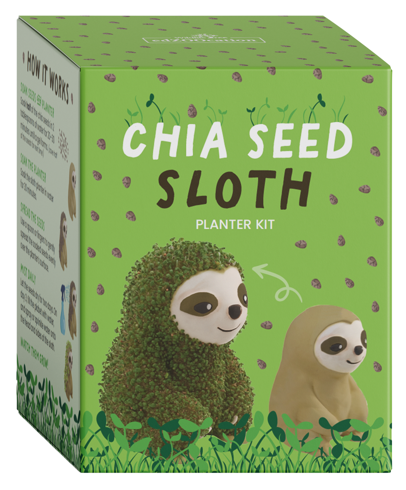 Chia Seed Sloth box with illustration of Sloth with grown Chia Seeds on it