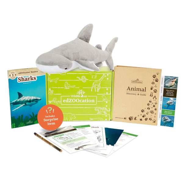 Bonnethead Shark Stuffed Animal edZOOcation™ Zoologist Box (Ages 6-8)