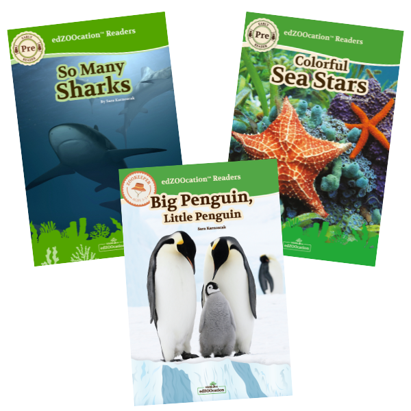 Three children's books on a white background, featuring 'So Many Sharks', 'Colorful Sea Stars', and 'Big Penguin, Little Penguin'.