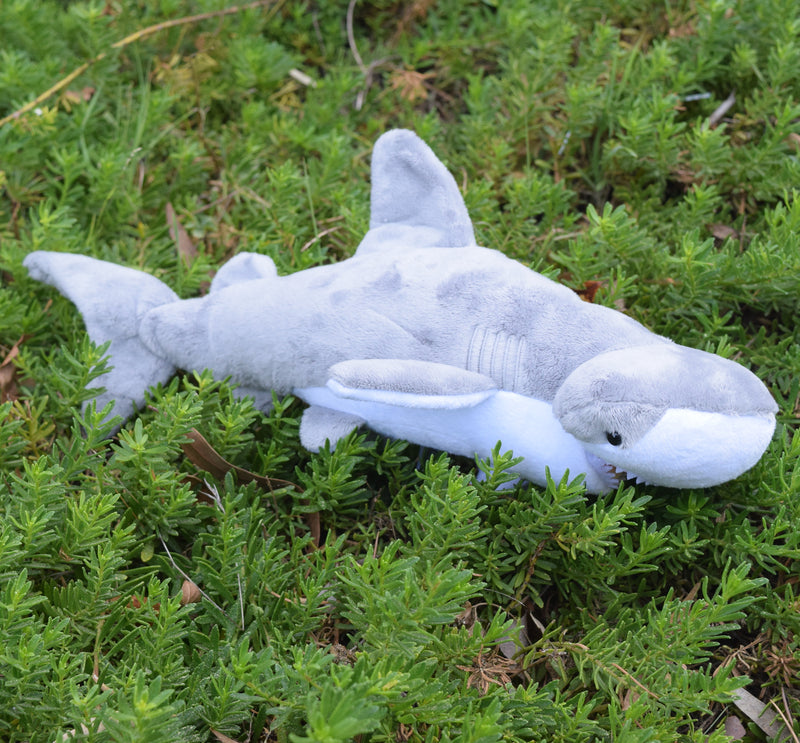 12" Bonnethead Shark Stuffed Animal