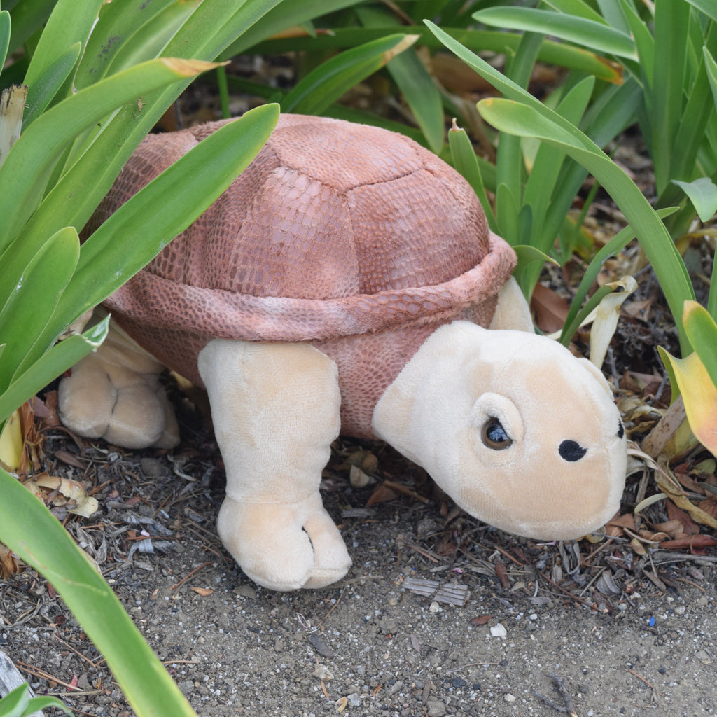 10" Tortoise Stuffed Animal Plush