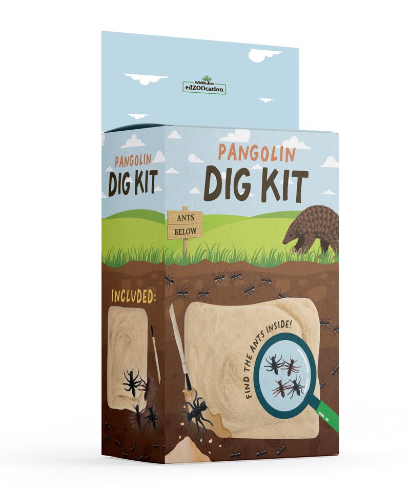 Pangolin Dig Kit – edZOOcation