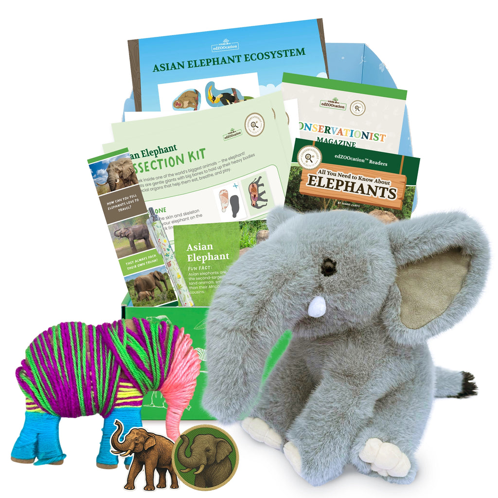 Elephant Conservationist Box (Age 9-12) – edZOOcation