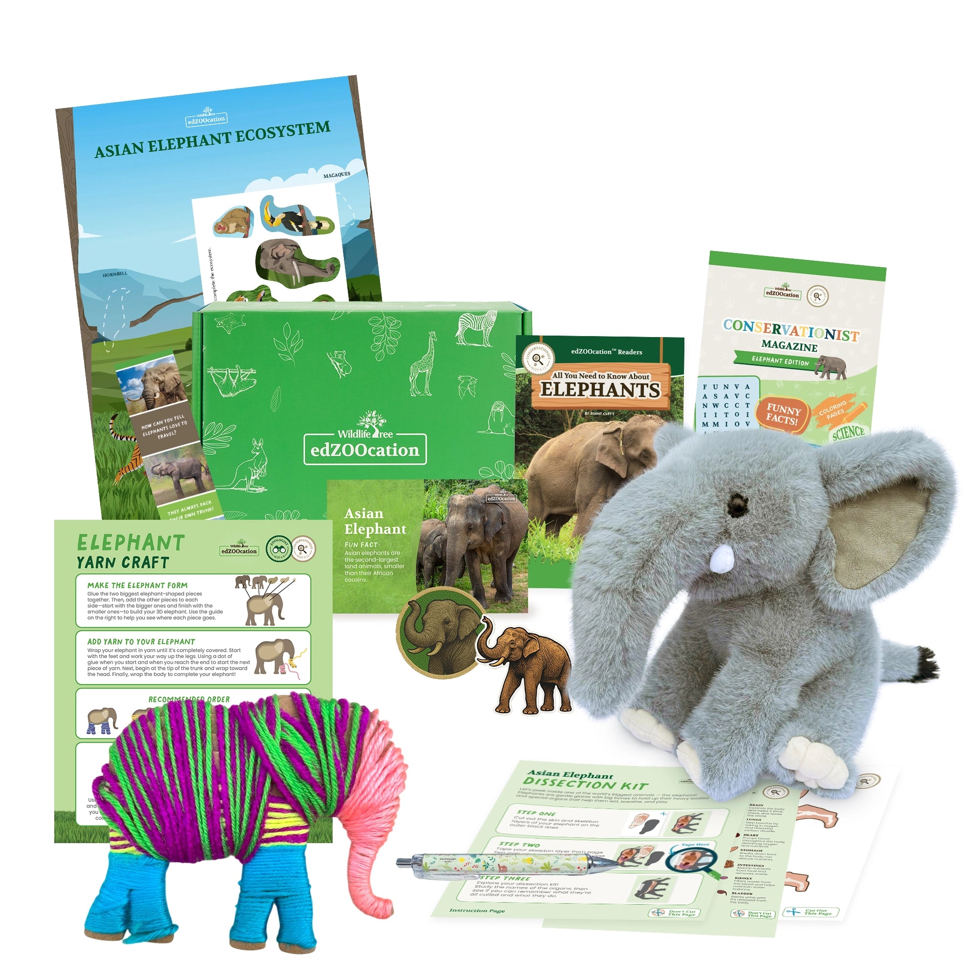 Educational materials and toys related to elephants on a white background