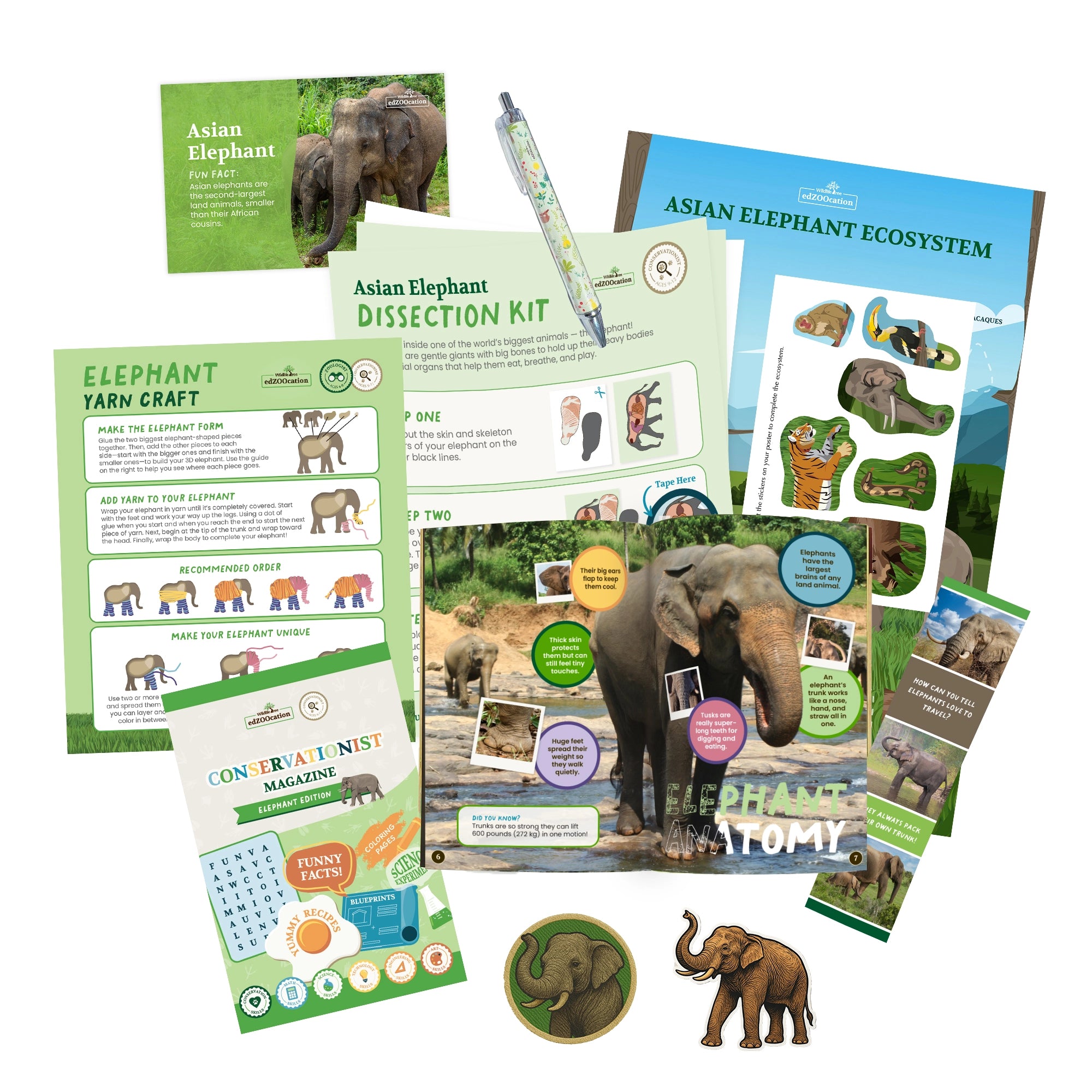 Educational materials about Asian elephants including a dissection kit, yarn craft, and magazine on a white background.