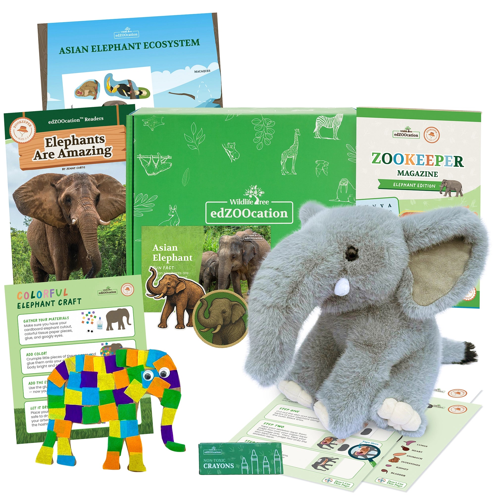 Educational materials and plush elephant toy on a white background