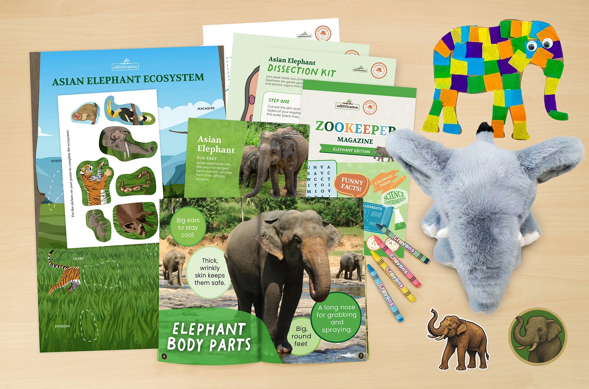 Educational materials and toys related to elephants on a wooden surface