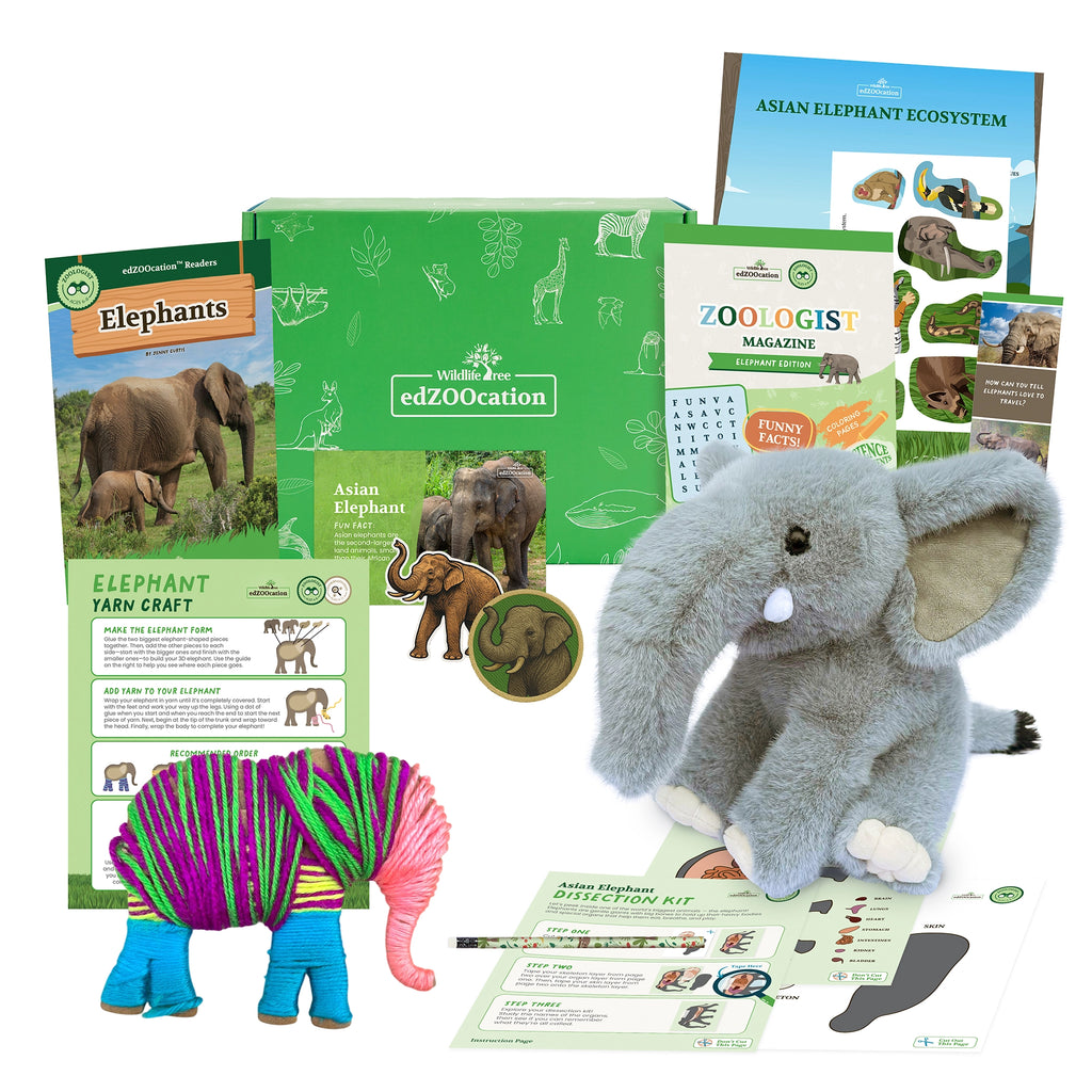 Educational elephant-themed kit with books, toys, and activities on a white background