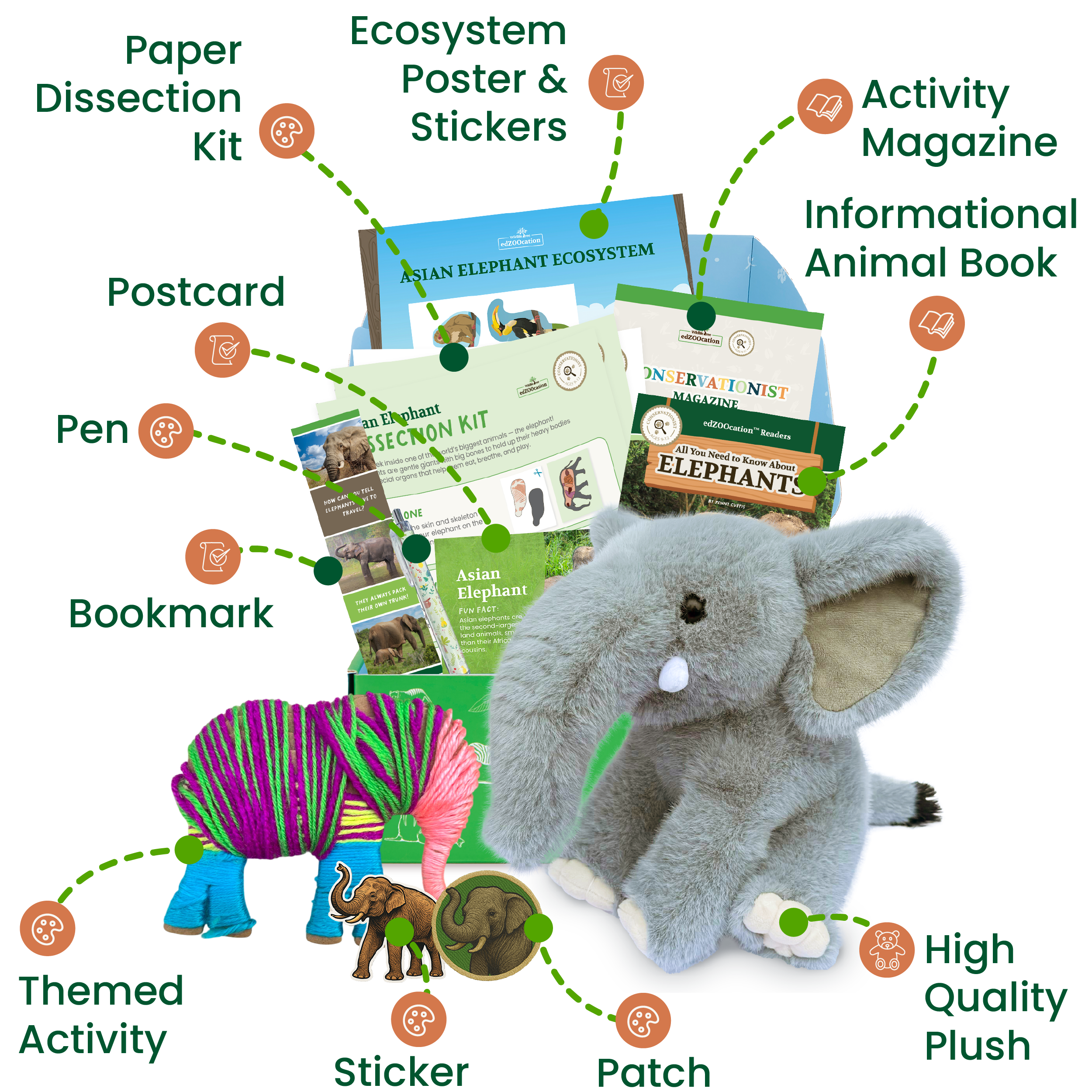 Educational materials and plush toy with elephant theme on a white background
