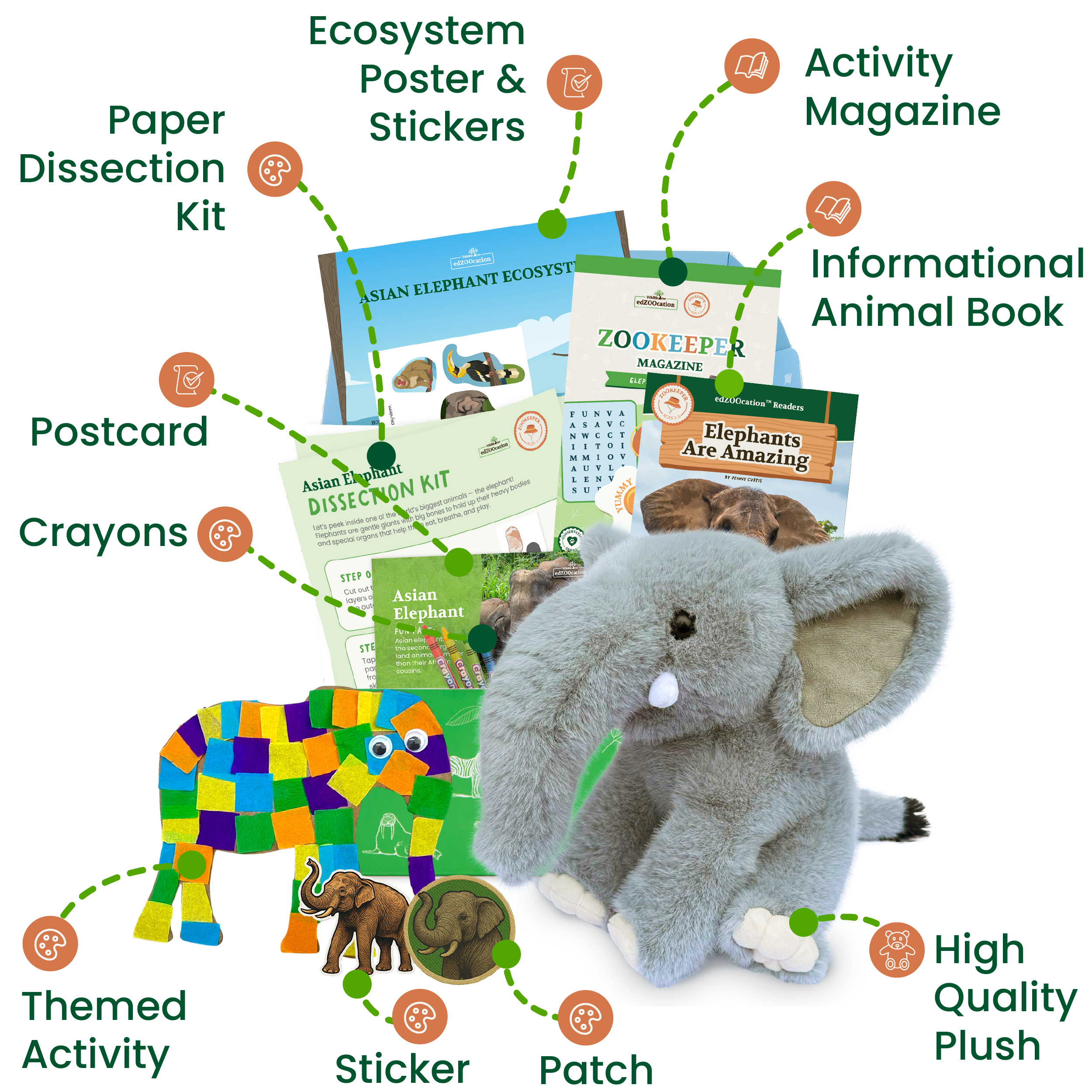 Collection of educational and toy items related to elephants including a plush elephant, activity magazine, and dissection kit.