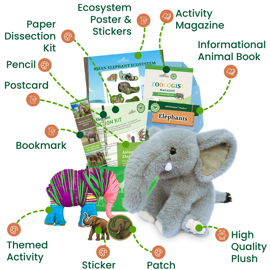 Collection of educational and toy items related to elephants including a plush elephant, magazine, and other materials.