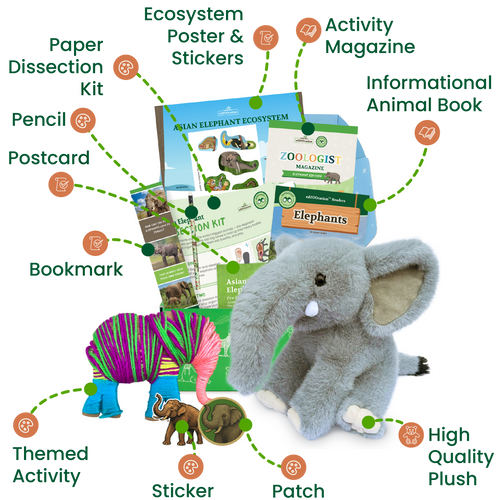 Collection of educational and toy items related to elephants including a plush elephant, magazine, and other materials.