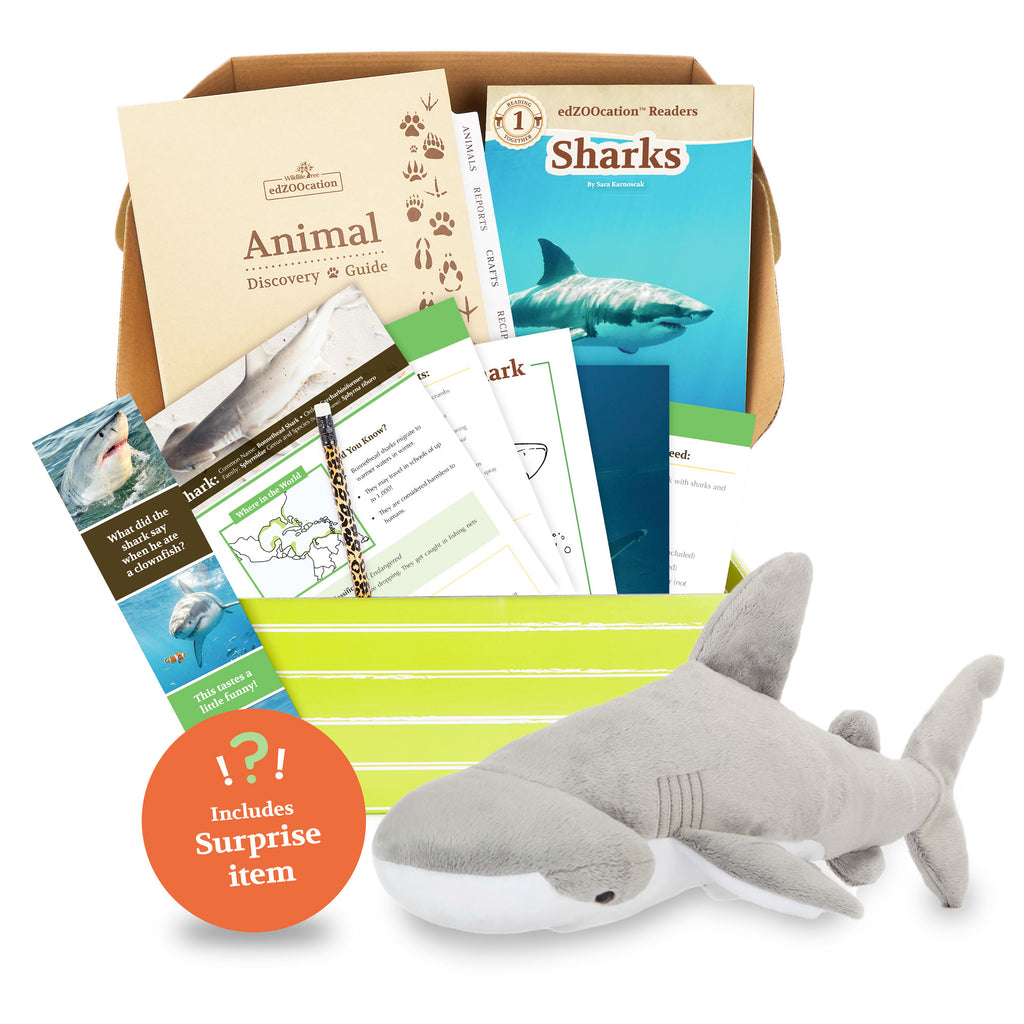 Plush Sea Star Stuffed Animal edZOOcation™ Box Educational Gift Set