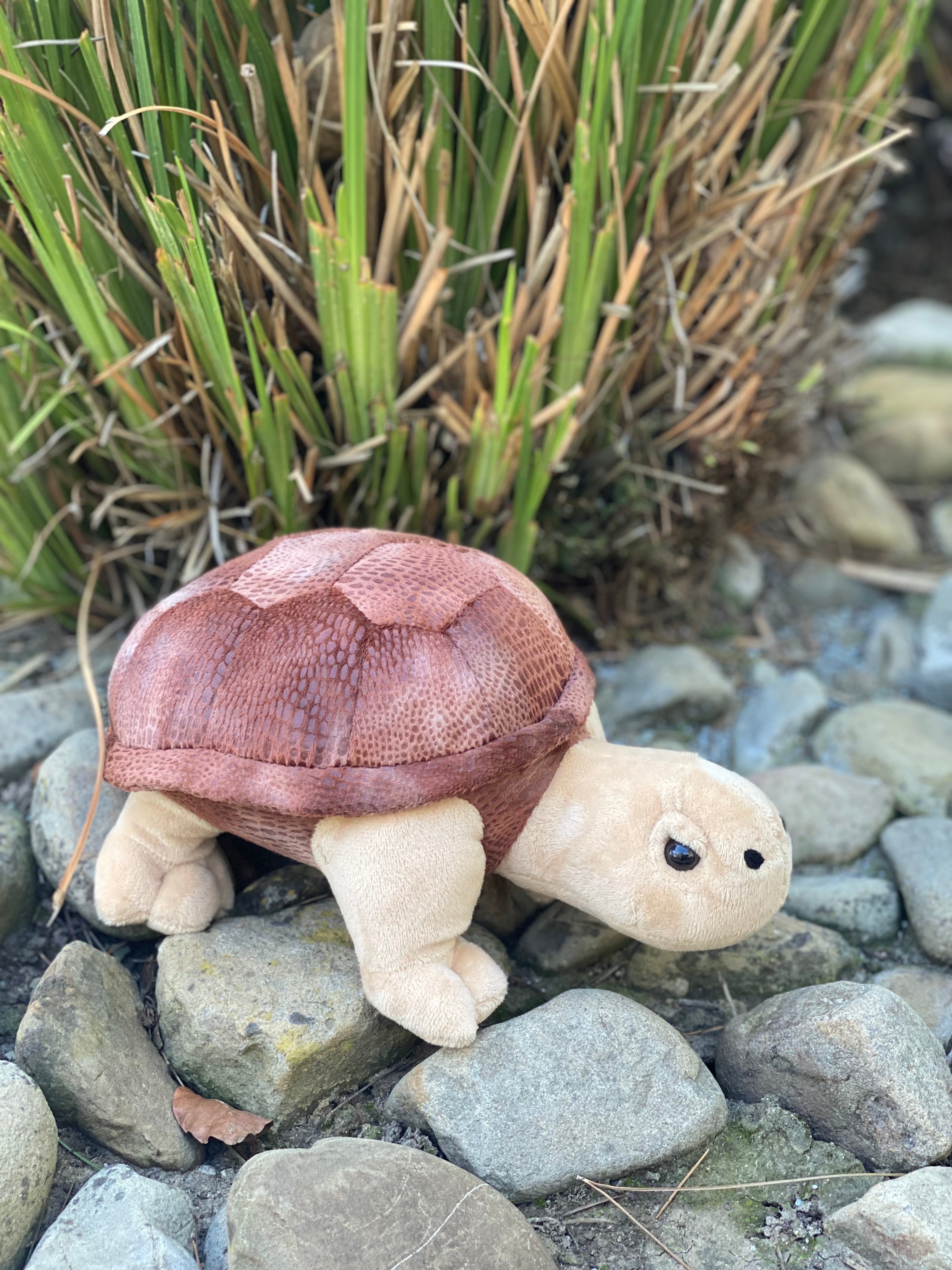 10" Tortoise Stuffed Animal Plush