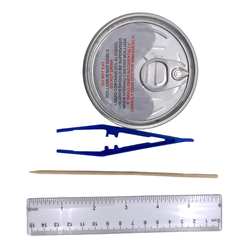 Mollusk Dissection Kit