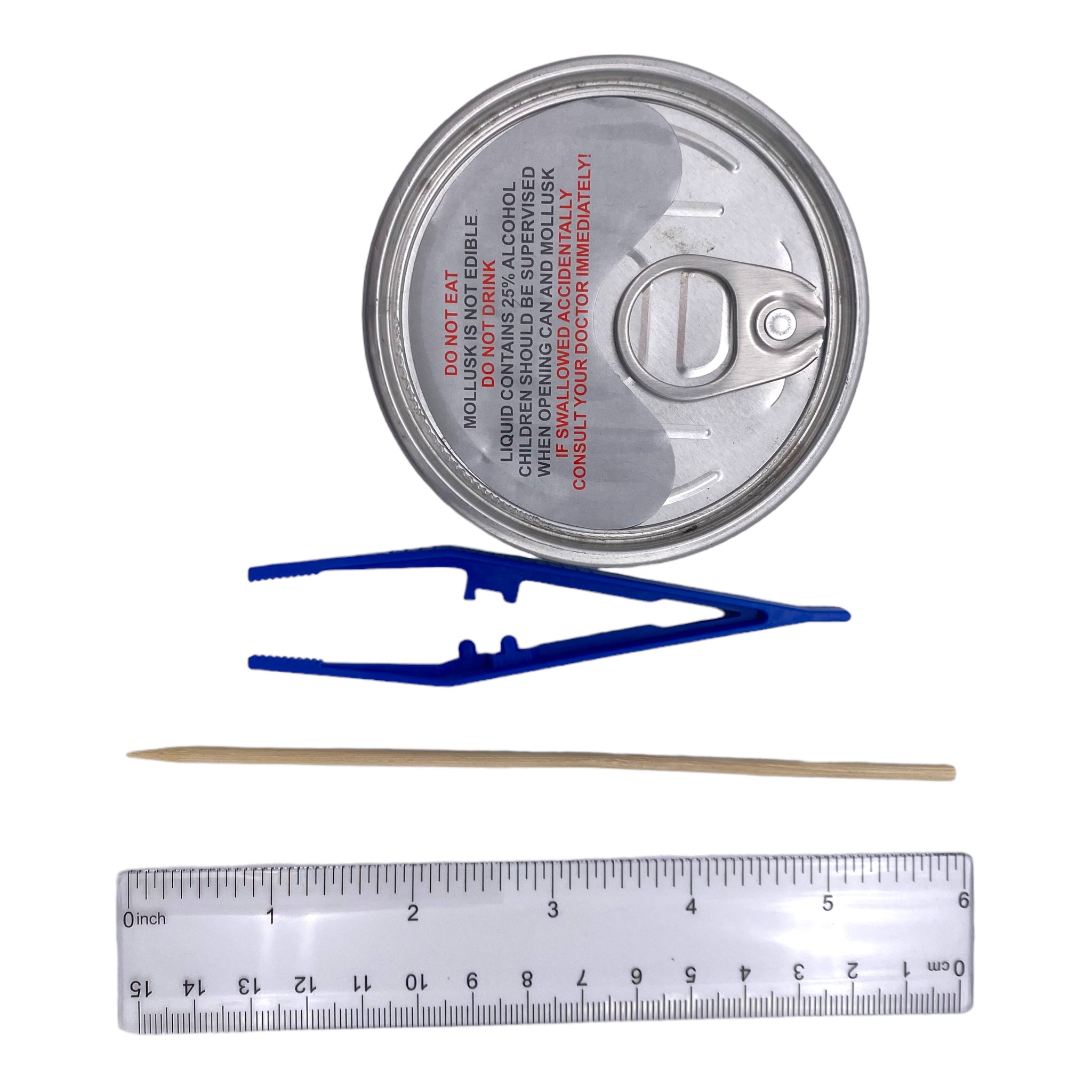 Mollusk Dissection Kit