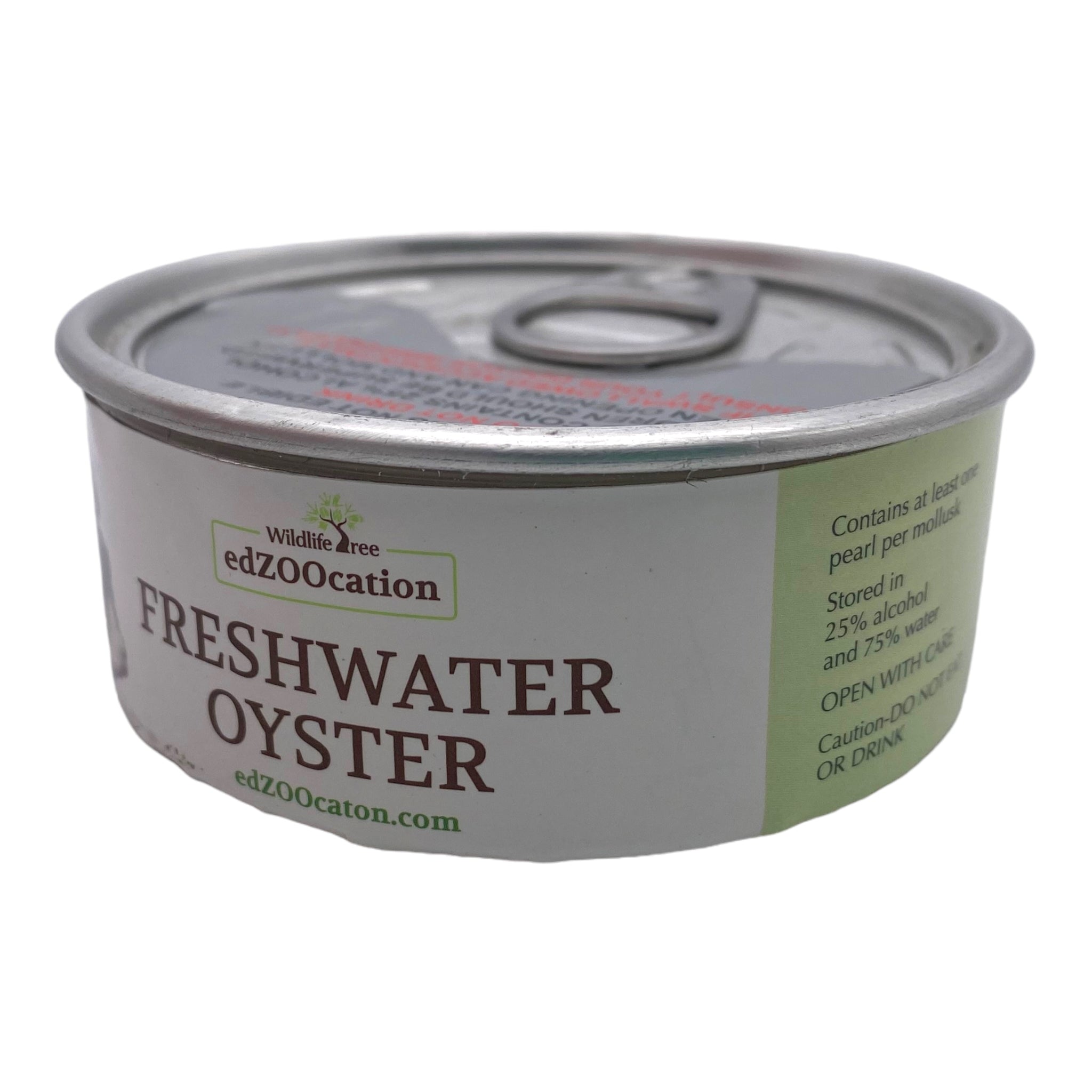 Mollusk Dissection Kit