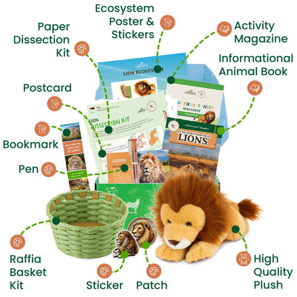 edZOOcation™ Conservationist Box (Age 9-12) - 6 Months (One Time Purchase, Non-Renewing)
