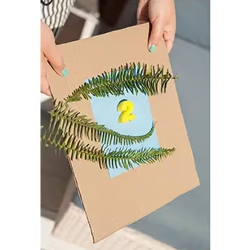 Nature Print Paper