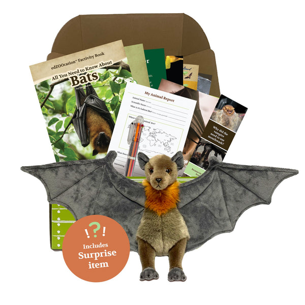 Bat Stuffed Animal edZOOcation™ Conservationist Box (Age 9-12)