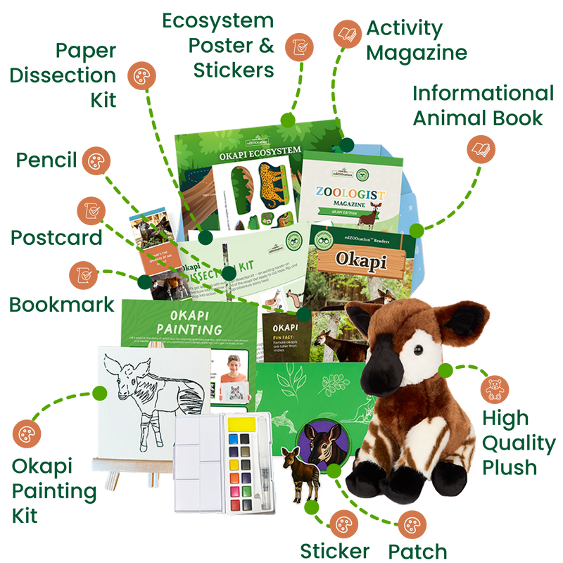 edZOOcation™ Zoologist Box (Age 6-8) - 12 Months
