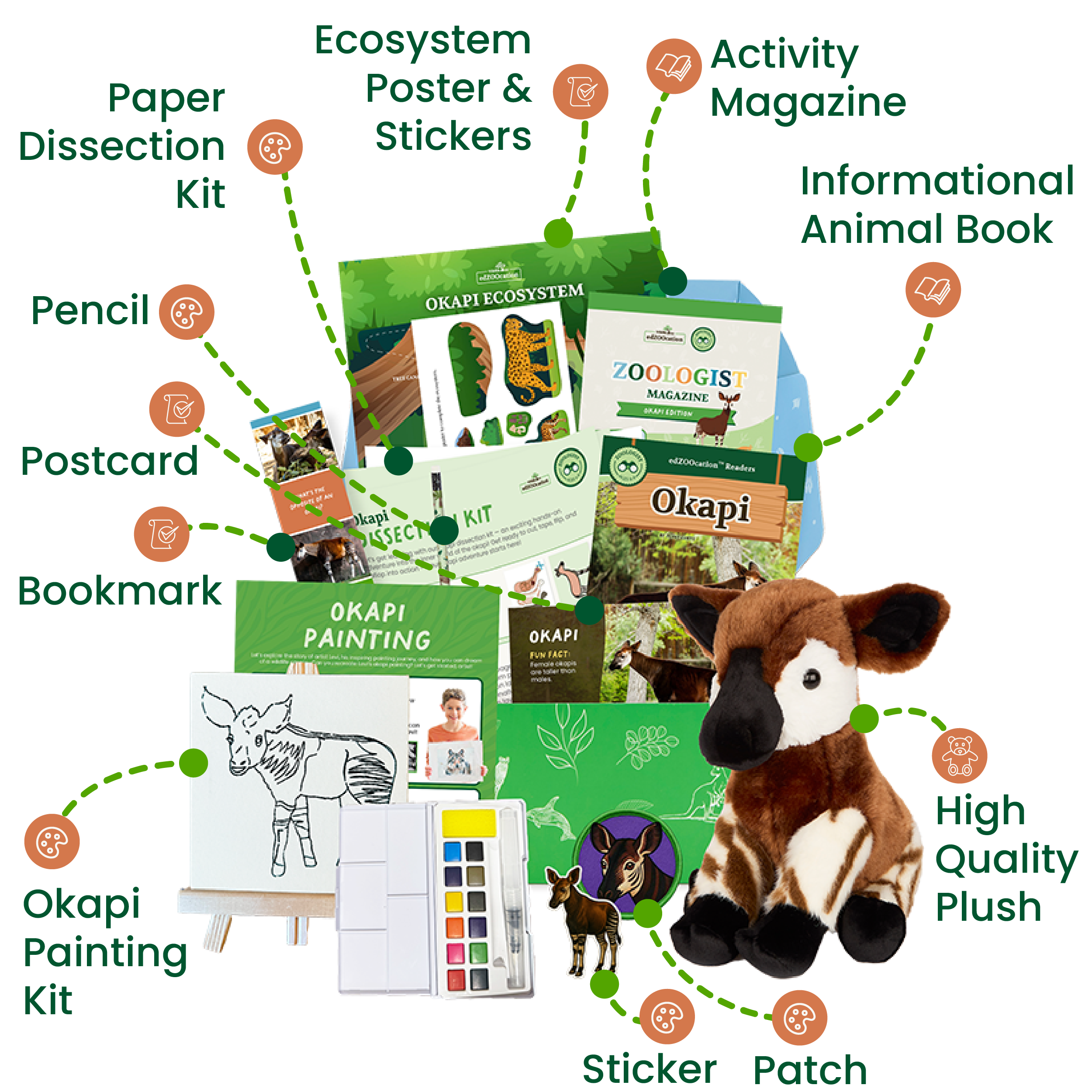 edZOOcation™ Zoologist Box (Age 6-8) - 6 Months