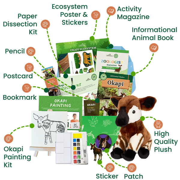 edZOOcation™ Zoologist Box (Age 6-8) - 6 Months